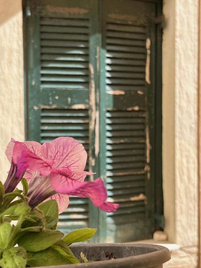 Casa Di Porto Daire Korfu Dış mekan fotoğraf